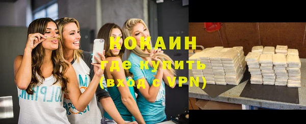дживик Бронницы