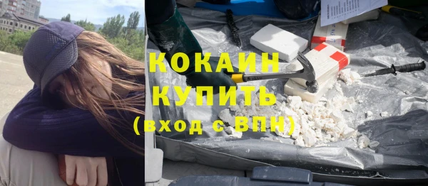 дживик Бронницы