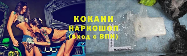 дживик Бронницы