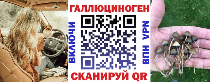 Галлюциногенные грибы MAGIC MUSHROOMS сколько стоит Вельск